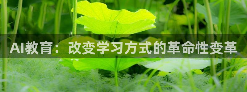 AI教育：改变学习方式的革命性变革