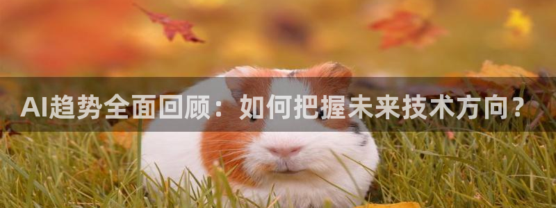 AI趋势全面回顾：如何把握未来技术方向？