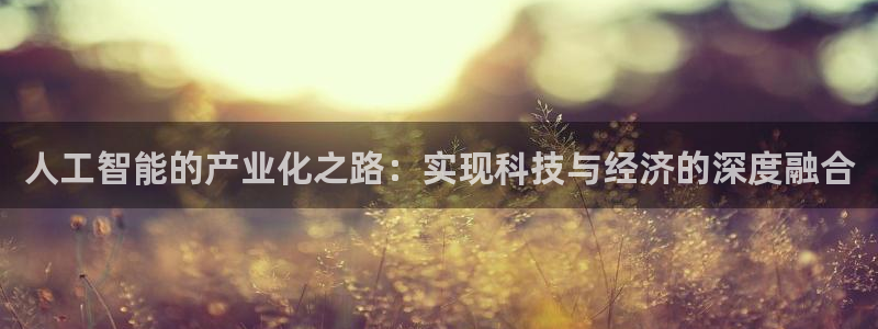 人工智能的产业化之路：实现科技与经济的深度融合