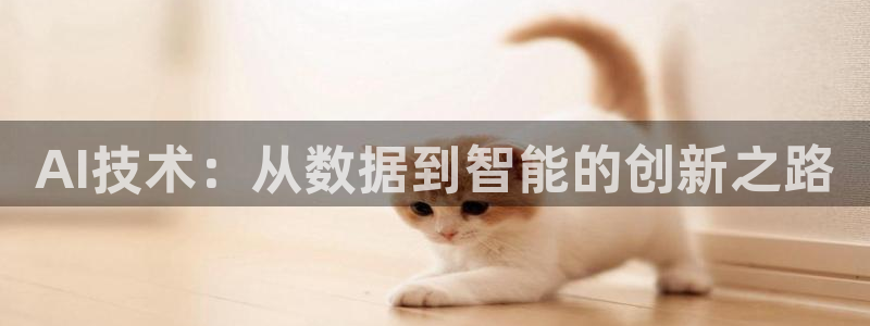 AI技术：从数据到智能的创新之路