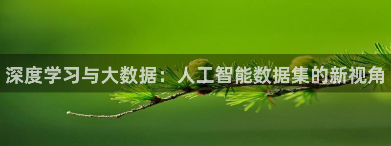 深度学习与大数据：人工智能数据集的新视角