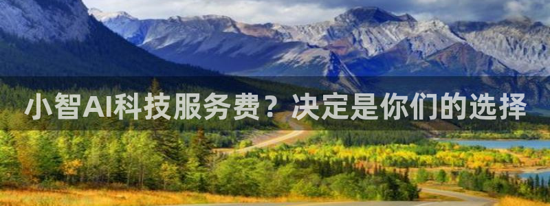 小智AI科技服务费？决定是你们的选择