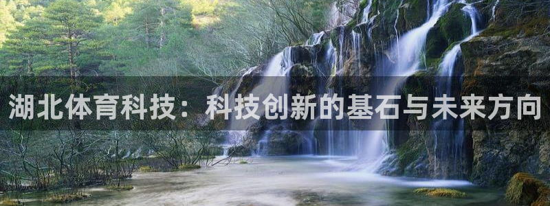 湖北体育科技：科技创新的基石与未来方向