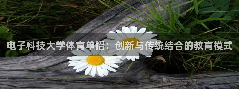 电子科技大学体育单招：创新与传统结合的教育模式