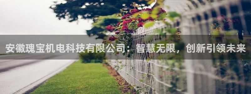 安徽瑰宝机电科技有限公司：智慧无限，创新引领未来