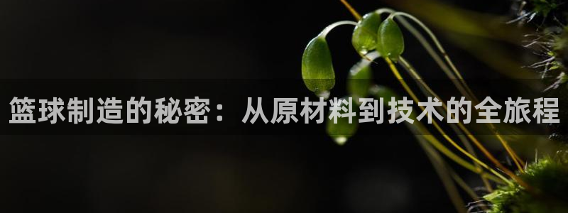 篮球制造的秘密：从原材料到技术的全旅程