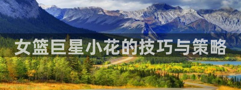 女篮巨星小花的技巧与策略
