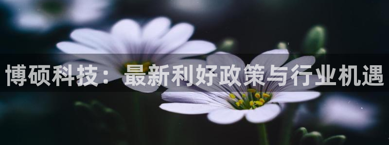 博硕科技：最新利好政策与行业机遇
