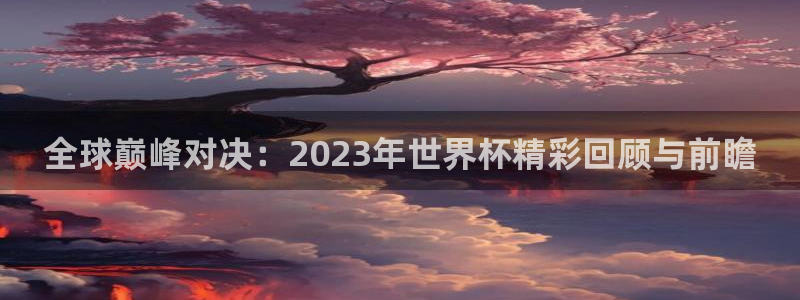 全球巅峰对决：2023年世界杯精彩回顾与前瞻