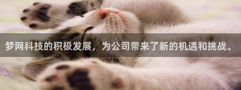 梦网科技的积极发展，为公司带来了新的机遇和挑战。