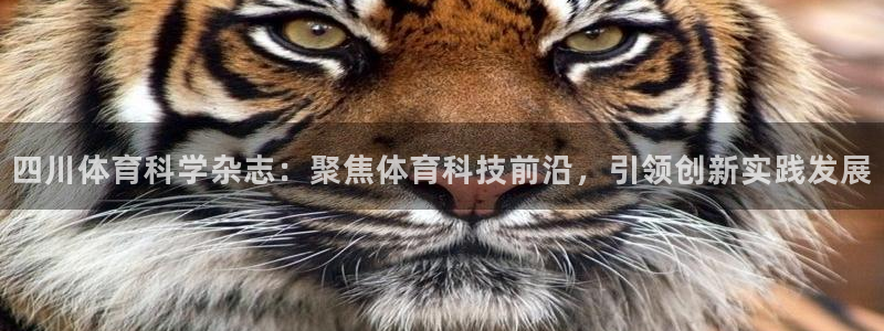 四川体育科学杂志：聚焦体育科技前沿，引领创新实践发展