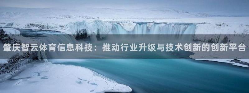 肇庆智云体育信息科技：推动行业升级与技术创新的创新平台