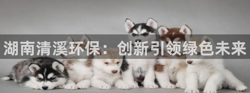 湖南清溪环保：创新引领绿色未来